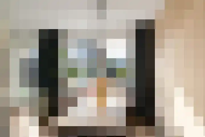 Buizerd 22 Baflo thumbnail 11