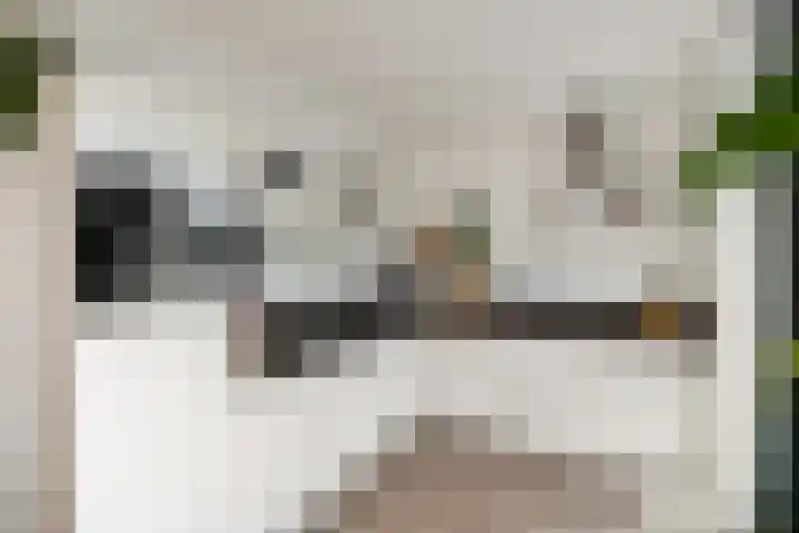 Buizerd 22 Baflo thumbnail 13