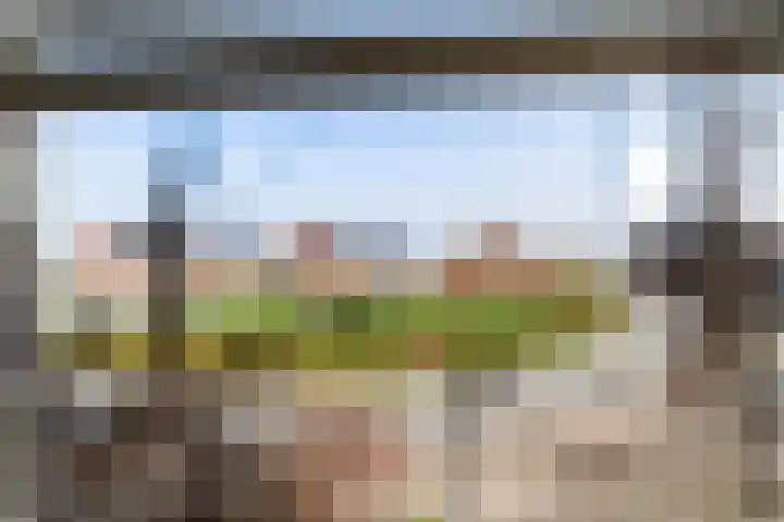 Buizerd 22 Baflo thumbnail 19