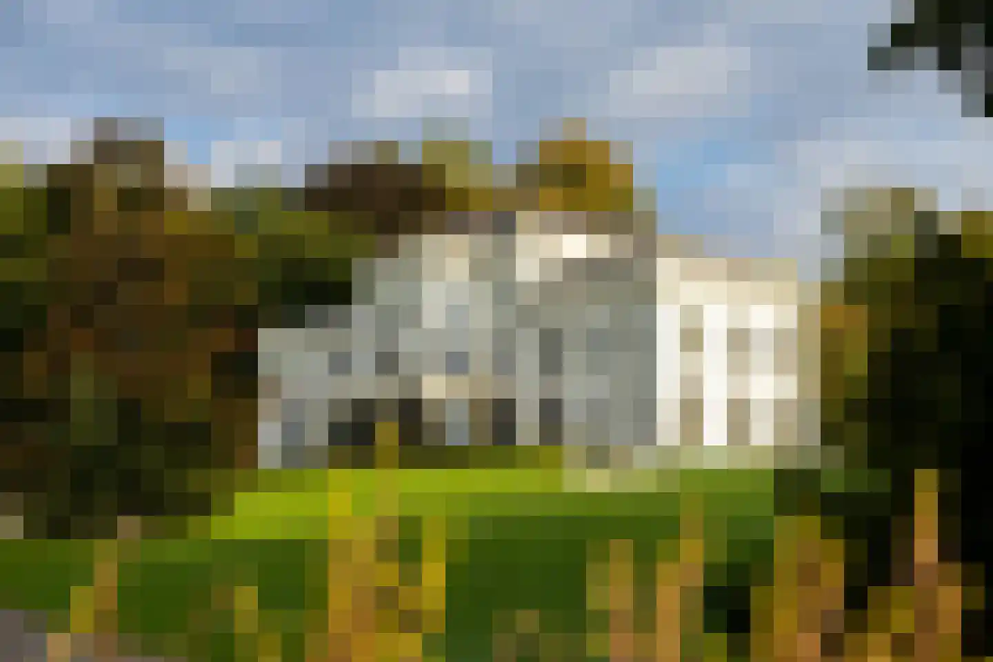 Buizerd 22 Baflo thumbnail 22