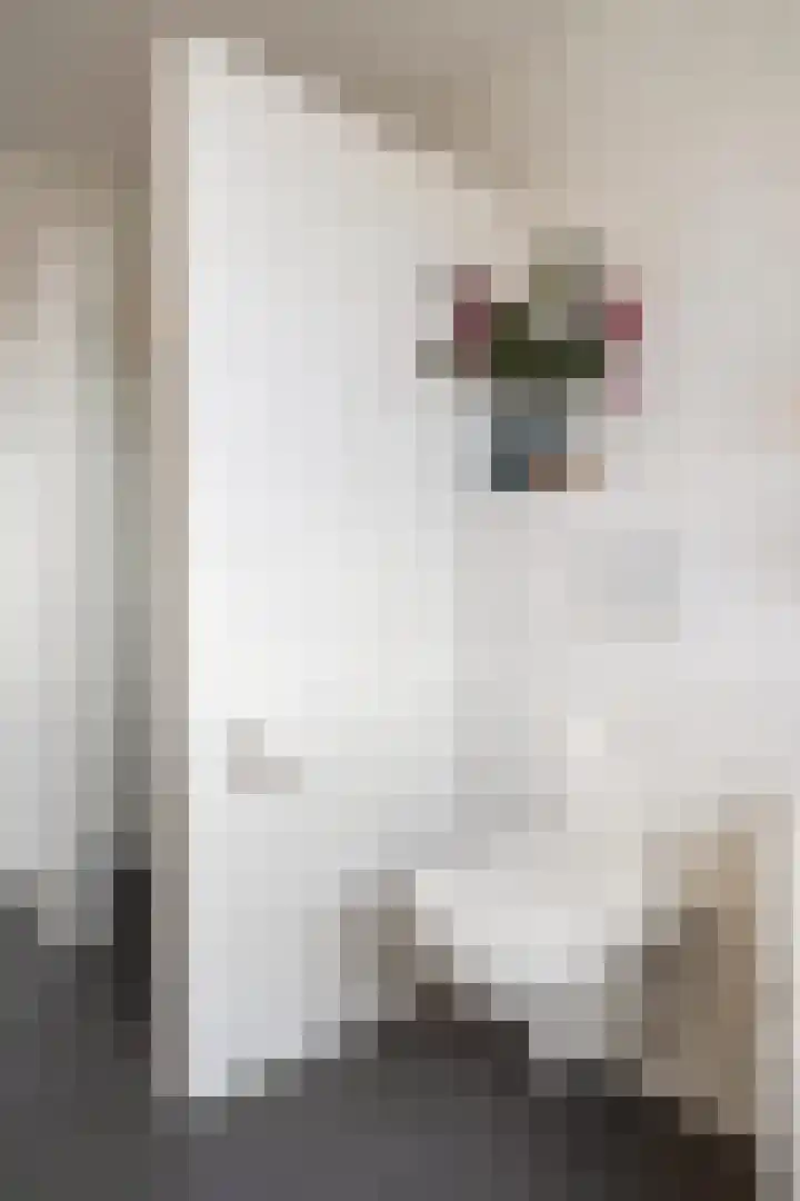 Buizerd 22 Baflo thumbnail 24