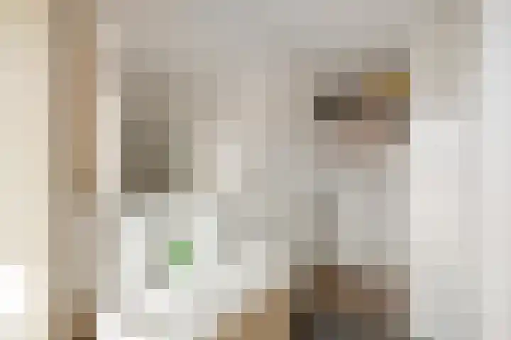 Buizerd 22 Baflo thumbnail 25