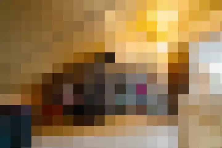 Buizerd 22 Baflo thumbnail 26