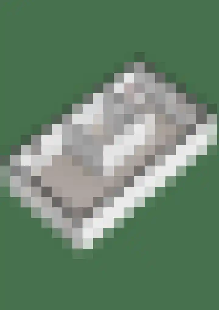 Buizerd 22 Baflo thumbnail 37