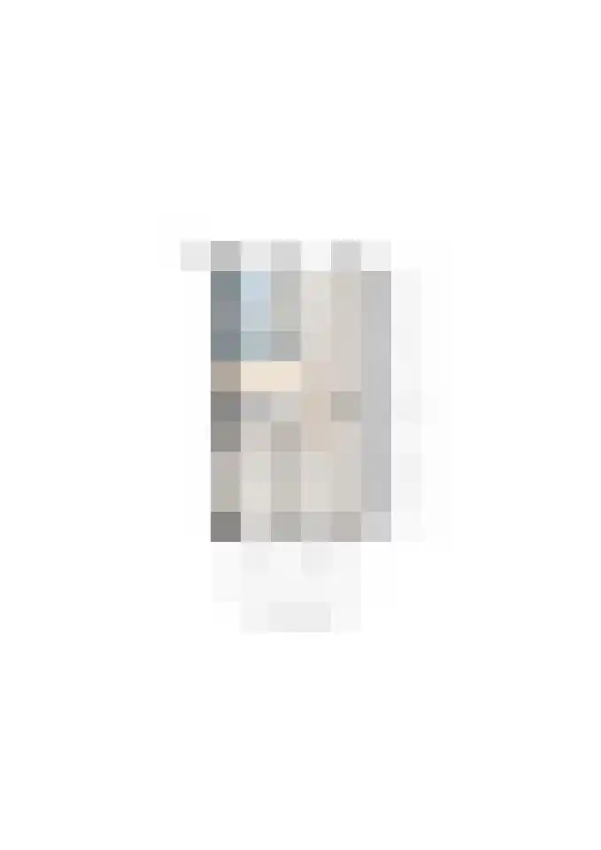Buizerd 22 Baflo thumbnail 38