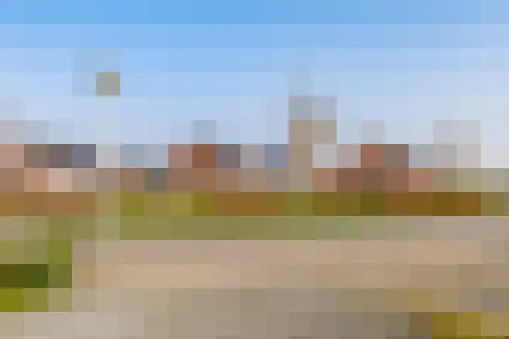 Buizerd 22 Baflo thumbnail 4