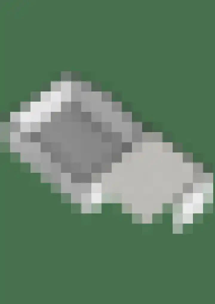 Buizerd 22 Baflo thumbnail 43