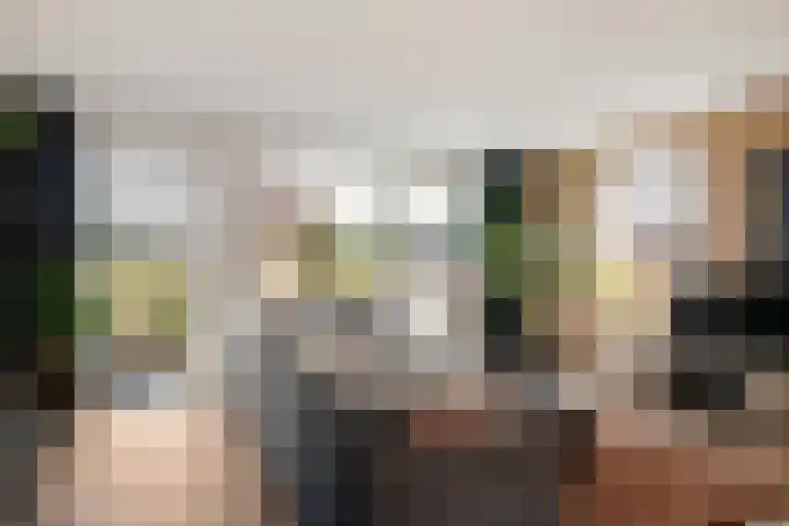 Buizerd 22 Baflo thumbnail 6