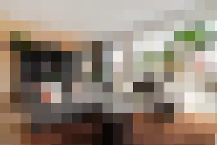 Buizerd 22 Baflo thumbnail 7