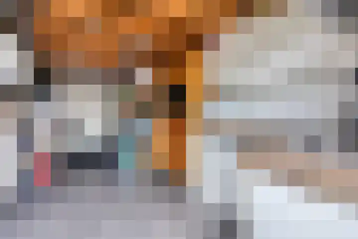Buizerd 222 Veldhoven thumbnail 16