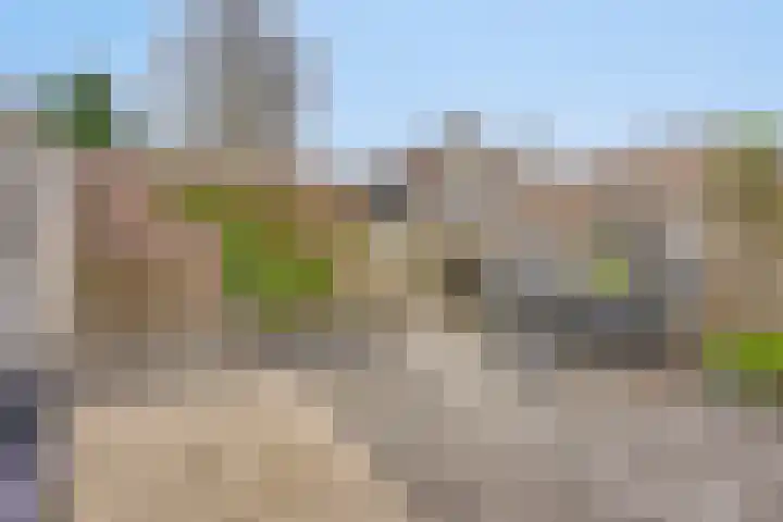 Buizerd 222 Veldhoven thumbnail 28