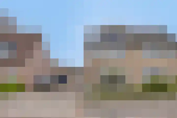 Buizerd 222 Veldhoven thumbnail 36