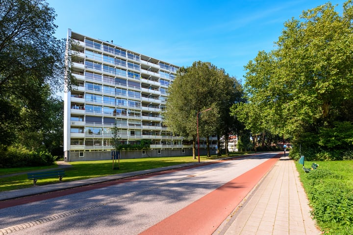 Buizerd 42 in Heerenveen foto