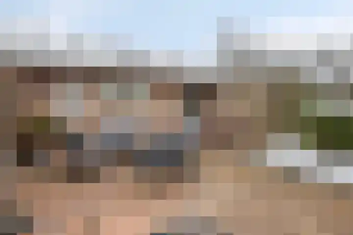 Buizerd 85 Veldhoven thumbnail 18