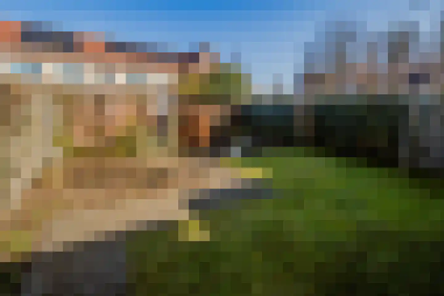 Buizerd 86 Veldhoven thumbnail 16