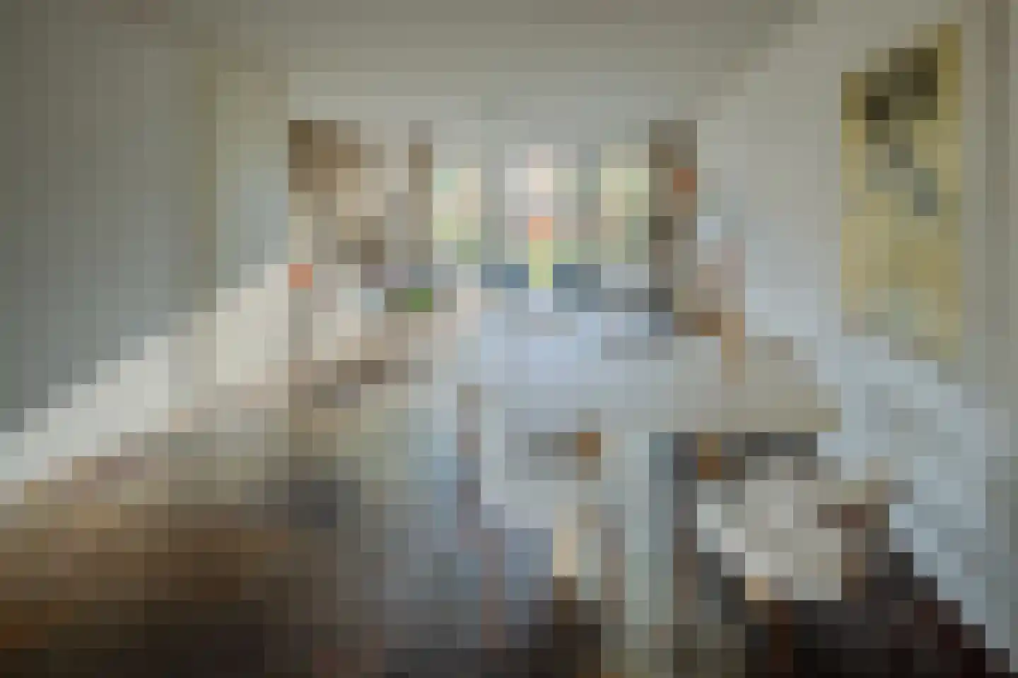 Buizerd 86 Veldhoven foto 3