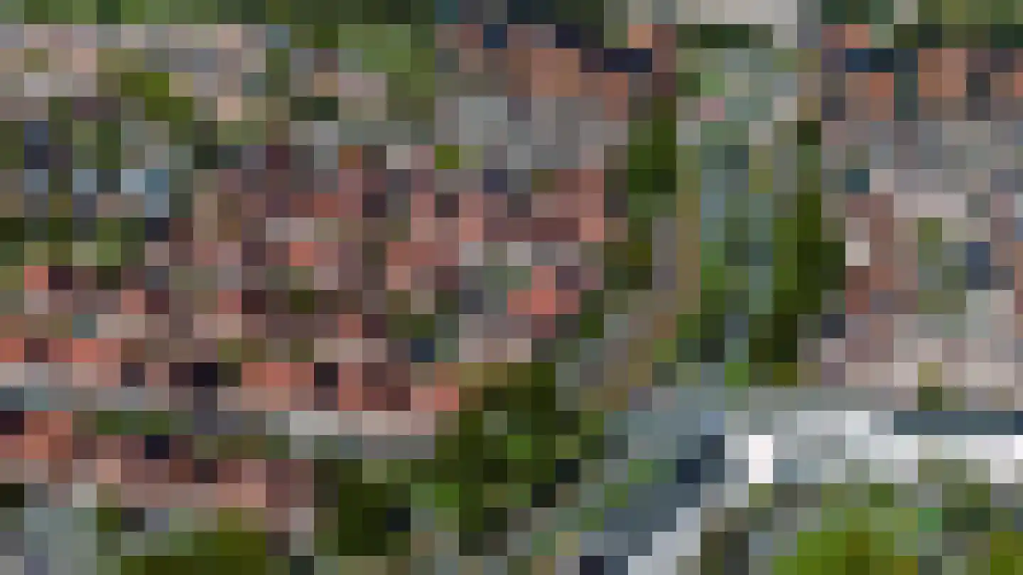 Buizerd 86 Veldhoven thumbnail 44