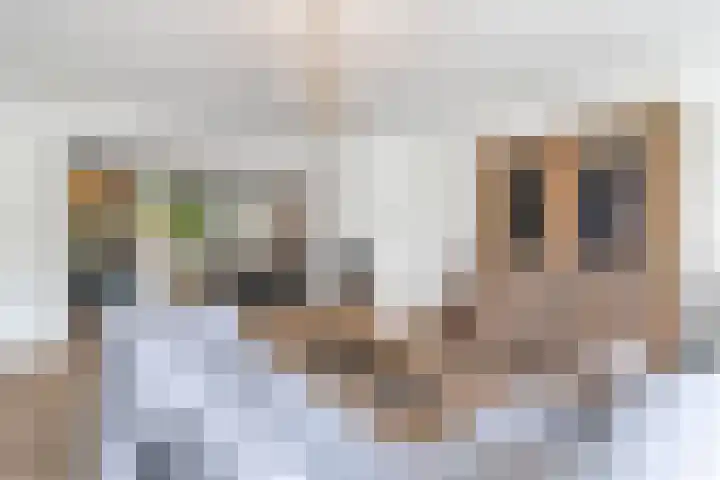 Buizerderf 22 Voorschoten thumbnail 15
