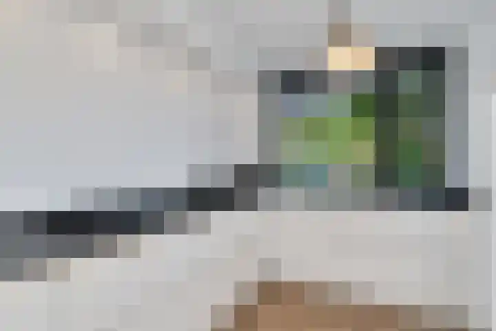 Buizerderf 22 Voorschoten thumbnail 18