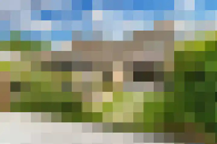 Buizerderf 22 Voorschoten foto 2