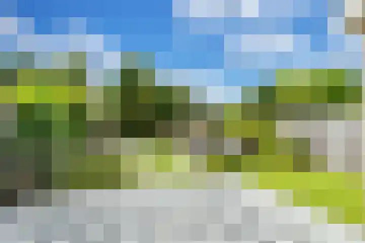 Buizerderf 22 Voorschoten thumbnail 21