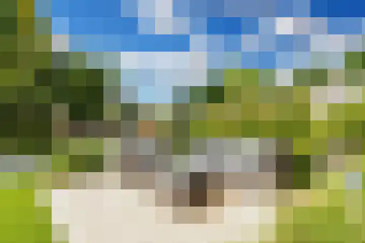 Buizerderf 22 Voorschoten thumbnail 24