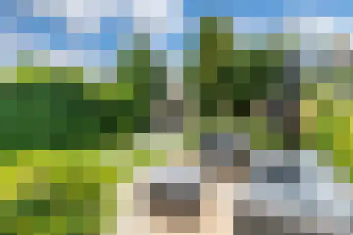 Buizerderf 22 Voorschoten thumbnail 25