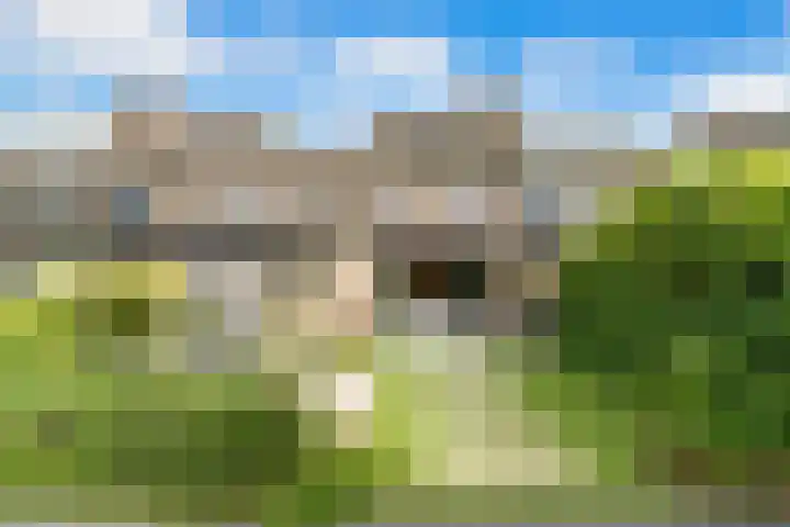Buizerderf 22 Voorschoten thumbnail 28