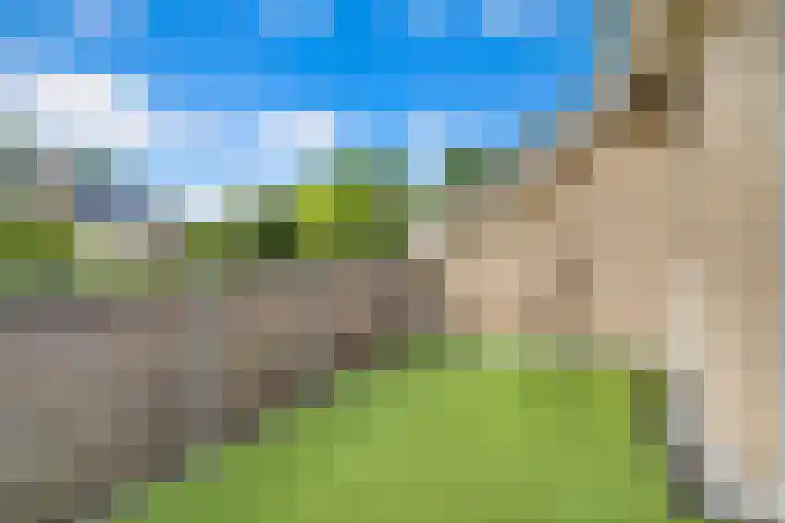 Buizerderf 22 Voorschoten thumbnail 38