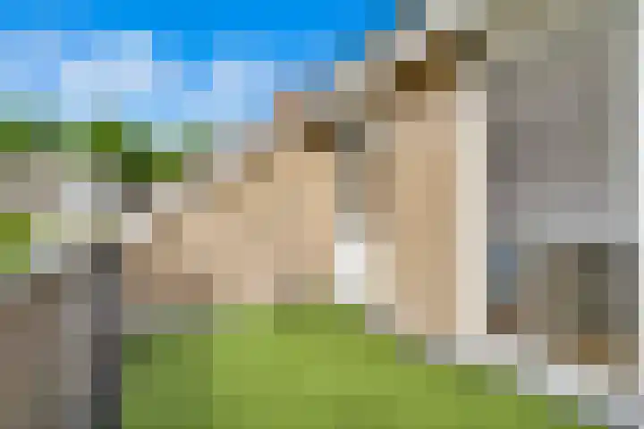 Buizerderf 22 Voorschoten thumbnail 39