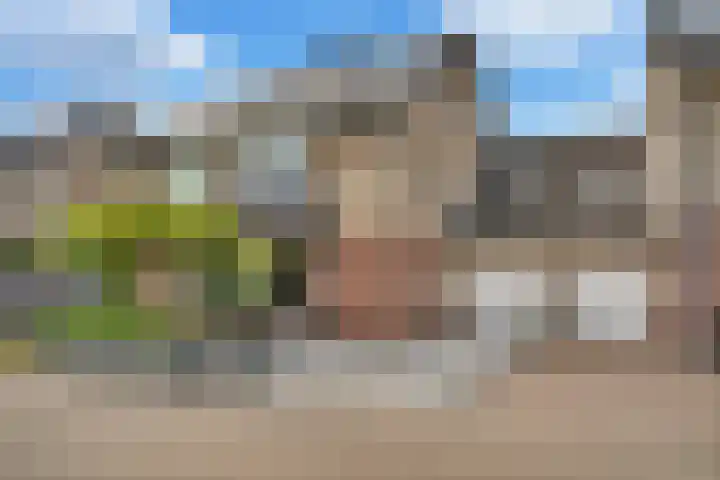 Buizerderf 22 Voorschoten thumbnail 4