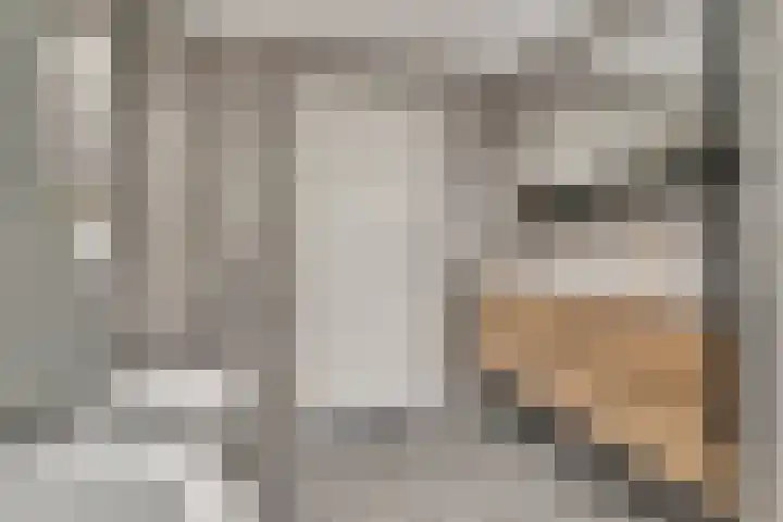 Buizerderf 22 Voorschoten thumbnail 45
