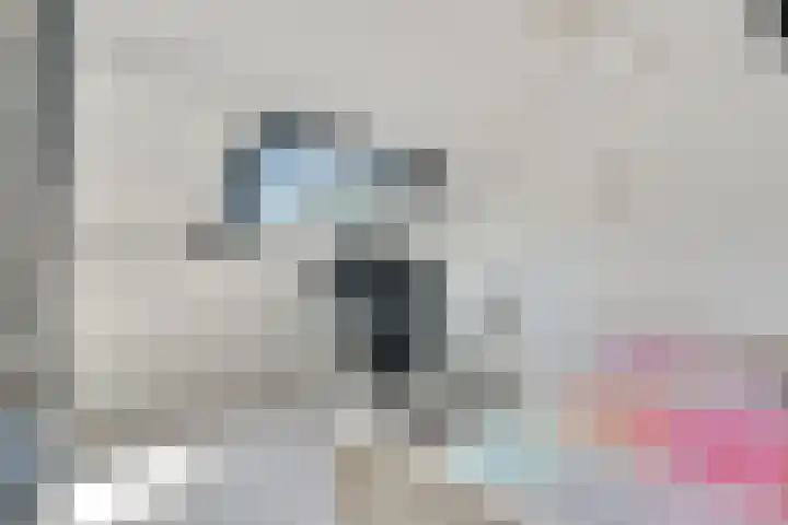 Buizerderf 22 Voorschoten thumbnail 51