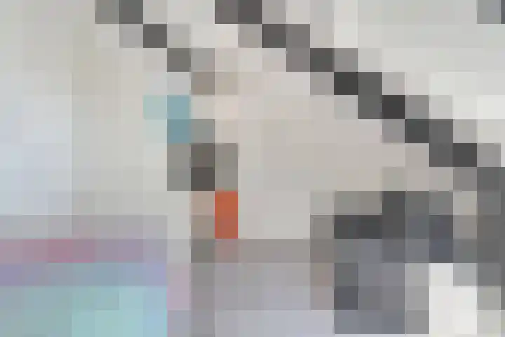 Buizerderf 22 Voorschoten thumbnail 53