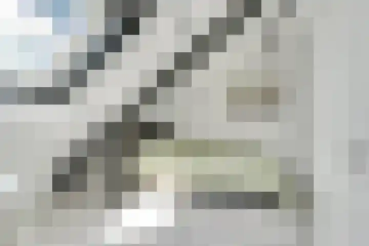 Buizerderf 22 Voorschoten thumbnail 54