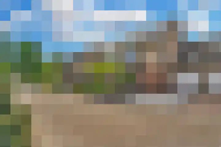 Buizerderf 22 Voorschoten thumbnail 58