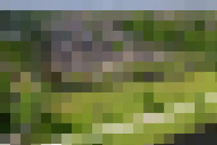 Buizerderf 22 Voorschoten thumbnail 62