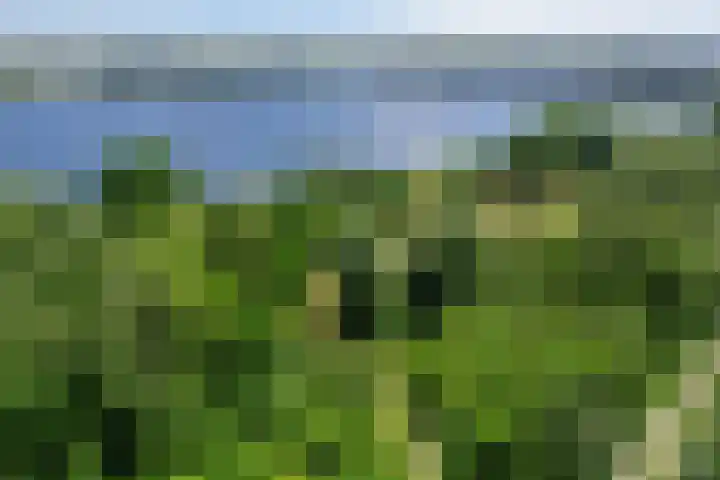 Buizerderf 22 Voorschoten thumbnail 63