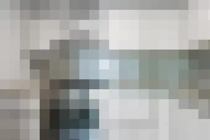 Buizerdlaan 193 Leidschendam thumbnail 20