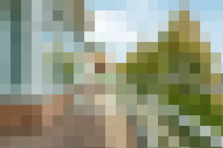 Buizerdlaan 193 Leidschendam thumbnail 27