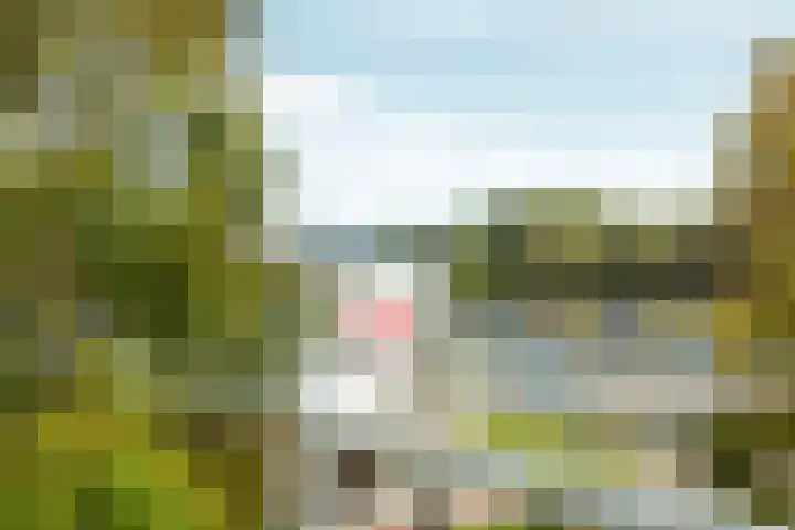 Buizerdlaan 193 Leidschendam thumbnail 28