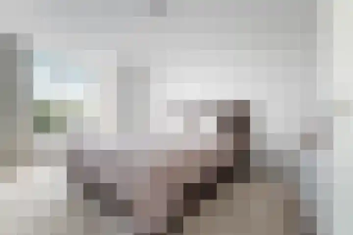 Buizerdlaan 193 Leidschendam thumbnail 30