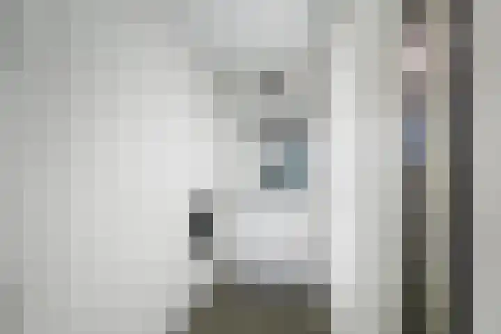 Buizerdlaan 193 Leidschendam thumbnail 9