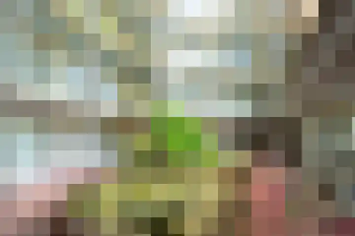 Buizerdlaan 213 Leidschendam thumbnail 11