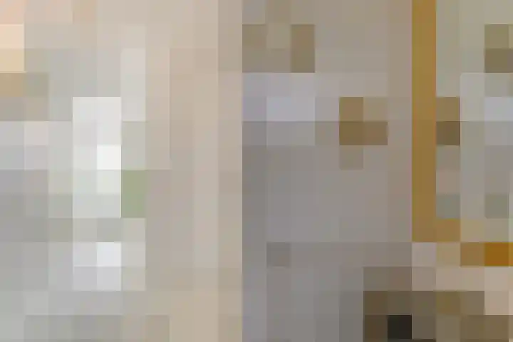 Buizerdlaan 213 Leidschendam thumbnail 13
