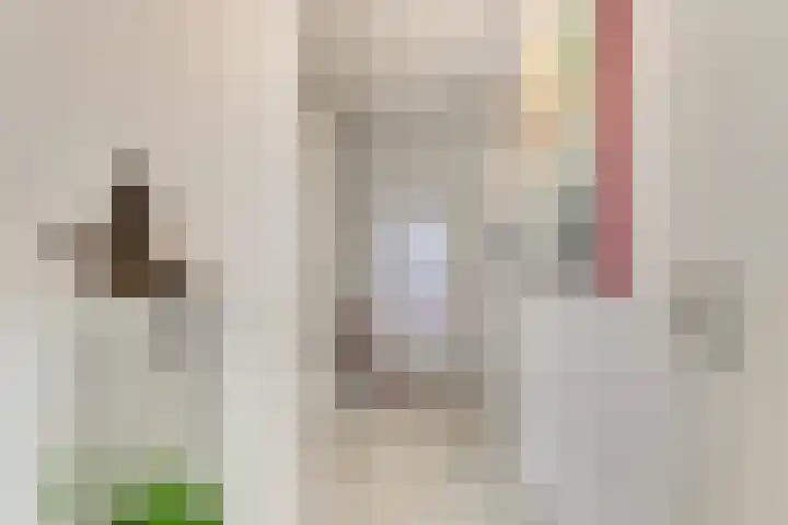Buizerdlaan 213 Leidschendam thumbnail 15