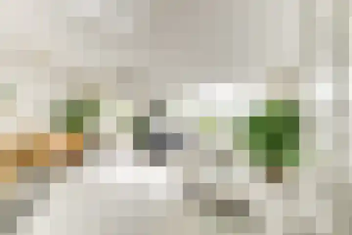 Buizerdlaan 213 Leidschendam thumbnail 18