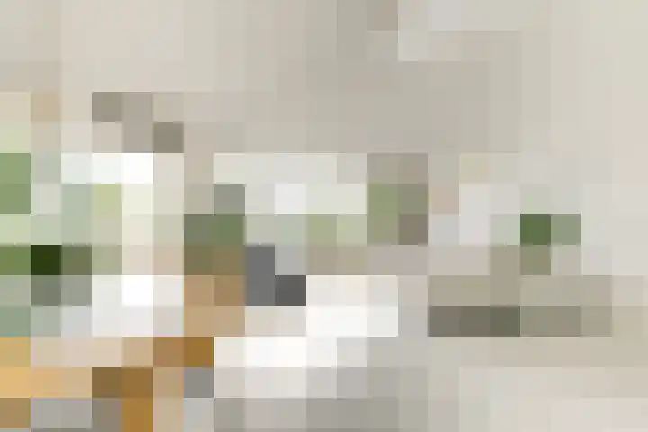 Buizerdlaan 213 Leidschendam thumbnail 20
