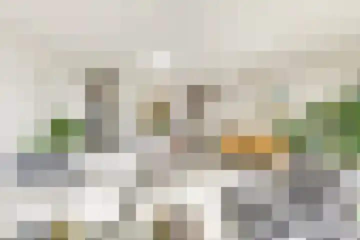 Buizerdlaan 213 Leidschendam thumbnail 23