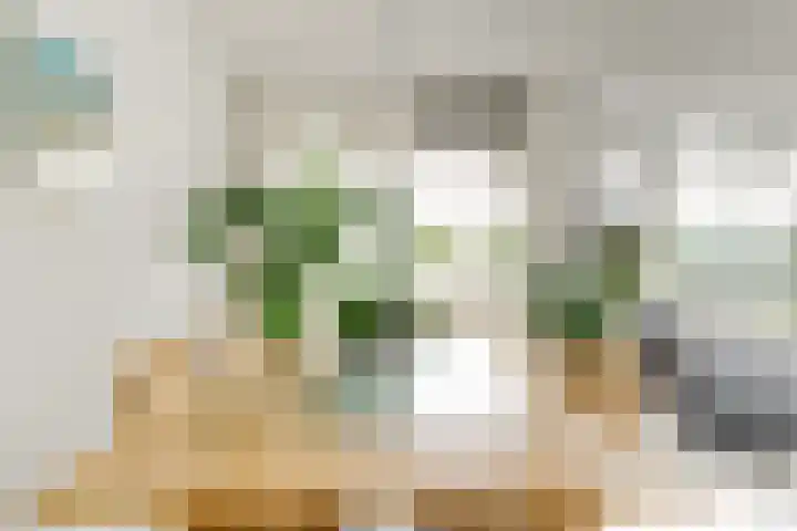 Buizerdlaan 213 Leidschendam thumbnail 26